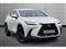 Lexus NX Image 1