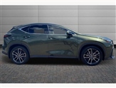 Lexus NX Image 6