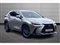 Lexus NX Image 1
