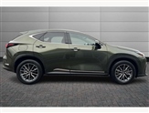 Lexus NX Image 6