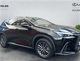 Lexus NX Image 1