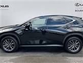 Lexus NX Image 5