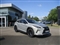 Lexus RX Image 1