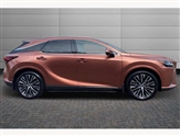Lexus RX Image 6