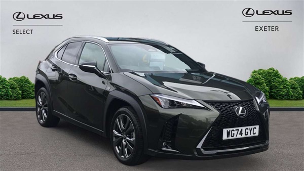 Large image for the Used Lexus UX