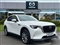 Mazda CX-60 Image 1