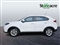 Mg GS Image 6