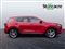 Mg Hs Image 2