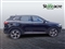 Mg Hs Image 2