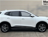 Mg Hs Image 2