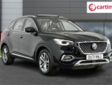 Mg Hs Image 1