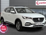 Mg Hs Image 1