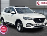 Mg Hs Image 1