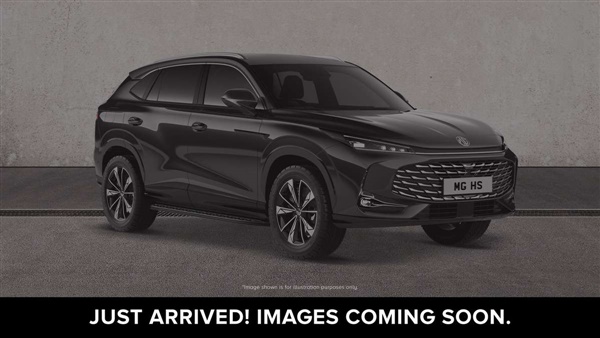 Large image for the Used Mg HS