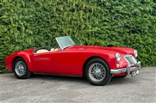Mg MGA