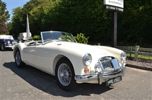 Mg MGA