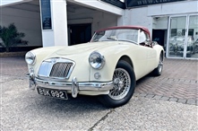Mg MGA