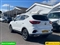Mg ZS Image 5