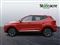 Mg ZS Image 6