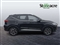 Mg ZS Image 2