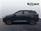 Mg ZS Image 6