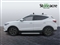 Mg ZS Image 7