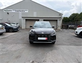 Mg ZS Image 5