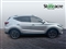 Mg ZS Image 9