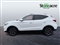 Mg ZS Image 9