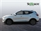 Mg ZS Image 6