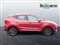 Mg ZS Image 2