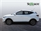 Mg ZS Image 6