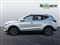 Mg ZS Image 8