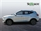 Mg ZS Image 8