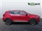 Mg ZS Image 2