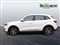 Mg ZS Image 7