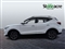 Mg ZS Image 5