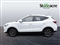 Mg ZS Image 6