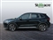 Mg ZS Image 6