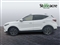 Mg ZS Image 4
