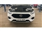 Mg ZS Image 8