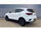 Mg ZS Image 2