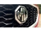 Mg ZS Image 8
