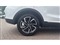 Mg ZS Image 7