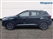 Mg ZS Image 5