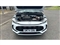 Mg ZS Image 8