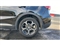 Mg ZS Image 7