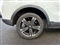 Mg ZS Image 10