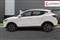 Mg ZS Image 3