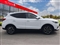 Mg ZS Image 2